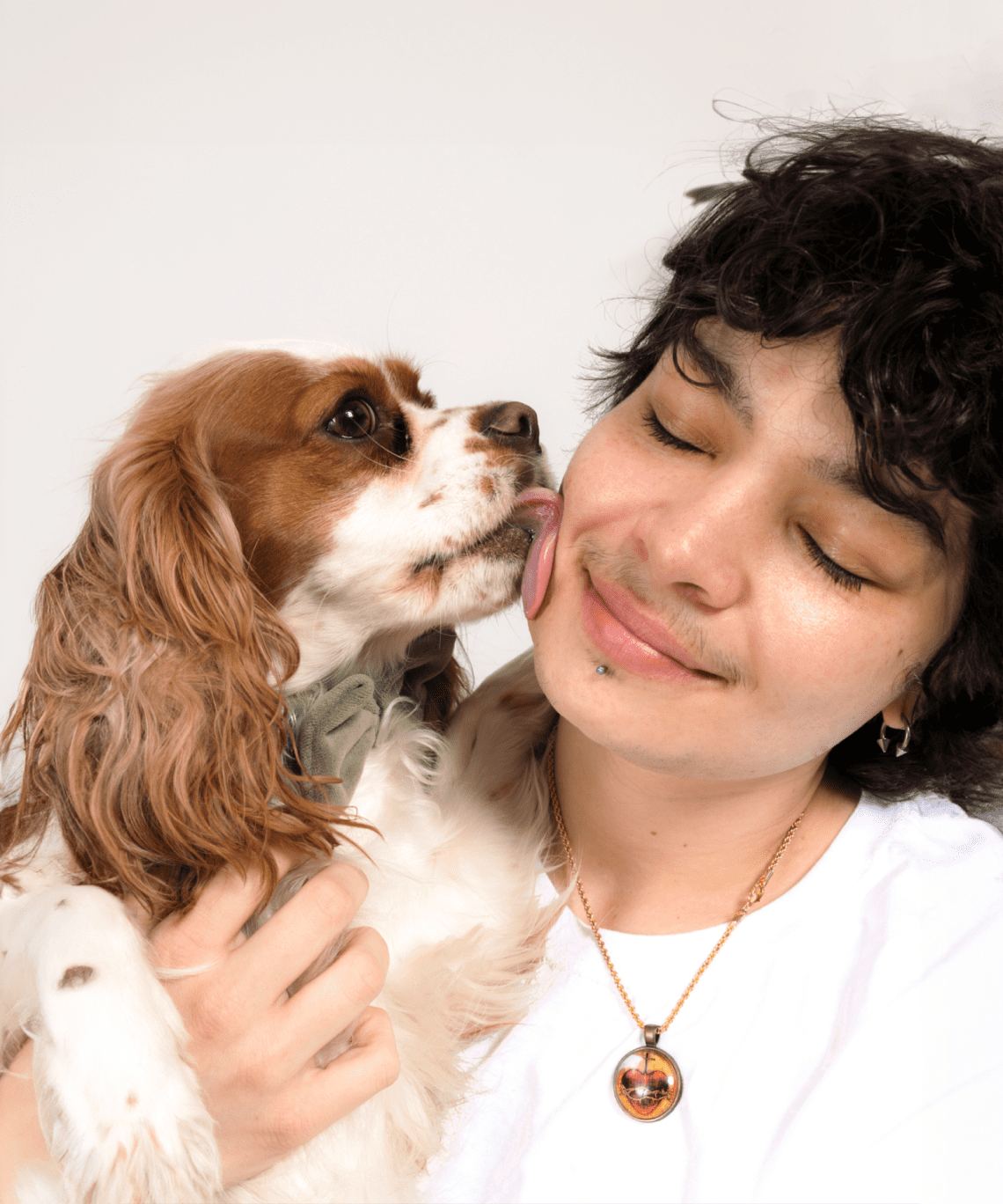 The best primary veterinary care
